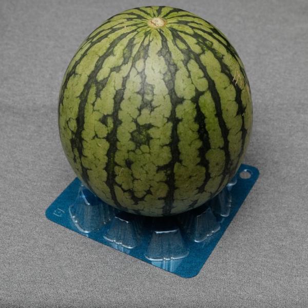 野菜園芸大百科　メロン・スイカ・カボチャ 4・5巻 果実マット スイカマット 100枚入り 青 緑 赤 かぼちゃ メロン マット