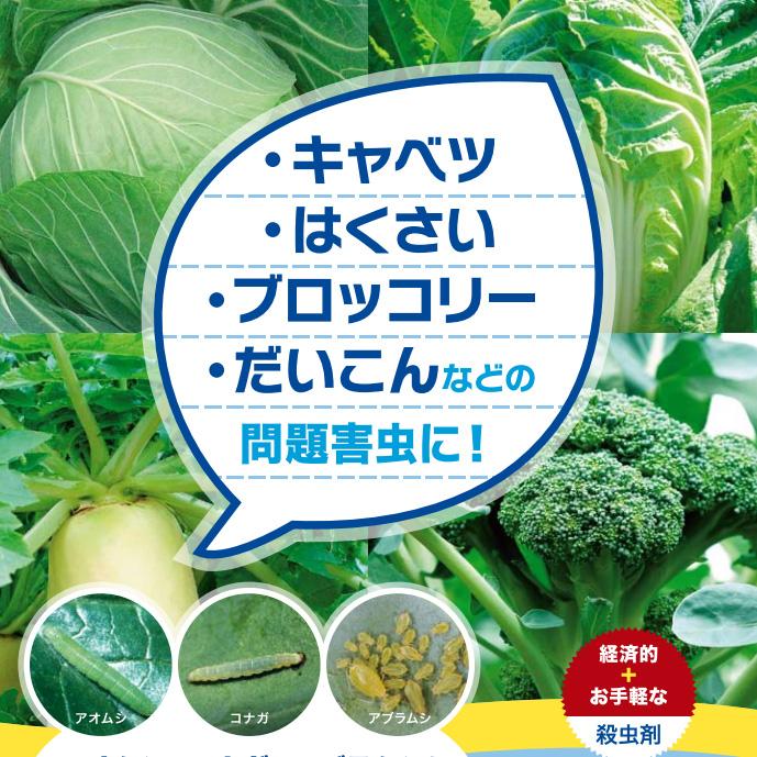 殺虫剤 エルサン粉剤2 3kg 野菜 アオムシ コナガ アブラムシ 防除 対策 農薬 薬剤【2024年10月期限切れ】｜ssnet｜02