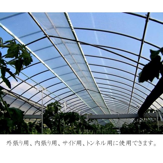 ハウスビニール 農POフィルム 0.1mm×1.5m×5m〜50m ビニールハウス