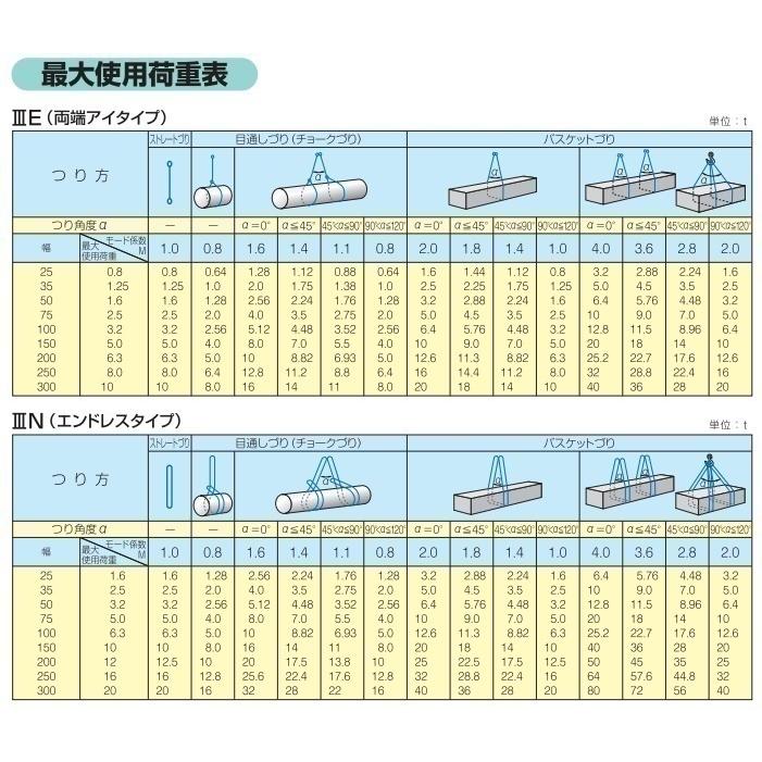 テザック スリングベルト 6m ブルースリング IIIE/両端アイ 50mm テザック スリングベルト 6m ブルースリング IIIE/両端アイ 50mm