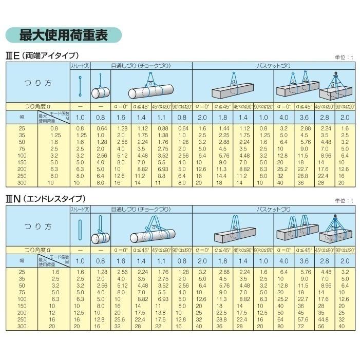 テザック スリングベルト 5.5m ブルースリング IIIE/両端アイ
