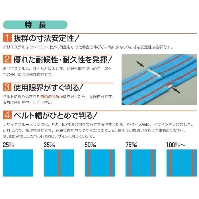 テザック スリングベルト 6m ブルースリング IIIE/両端アイ 75mm テザック スリングベルト 6m ブルースリング IIIE/両端アイ 75mm