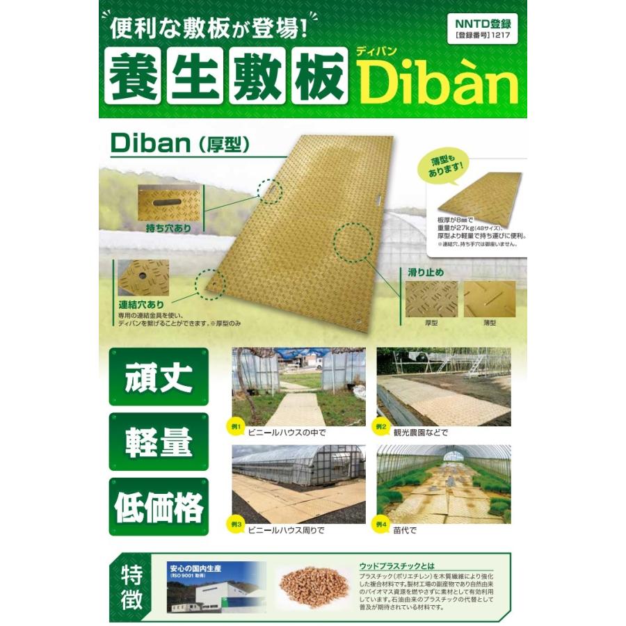 WP 敷板 プラスチック 農業用 薄型ディバン48 ×10枚セット 養生板