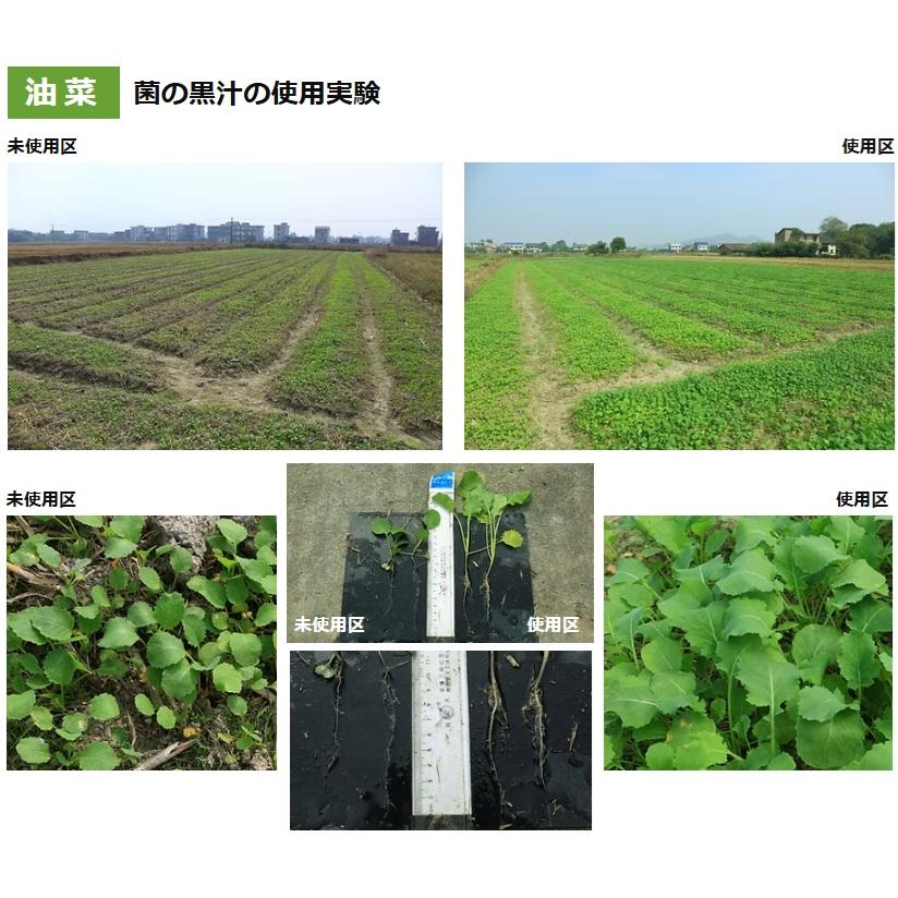日本製 液肥 有機肥料 菌の黒汁 500ml 液体肥料 野菜 土壌改良剤 連作