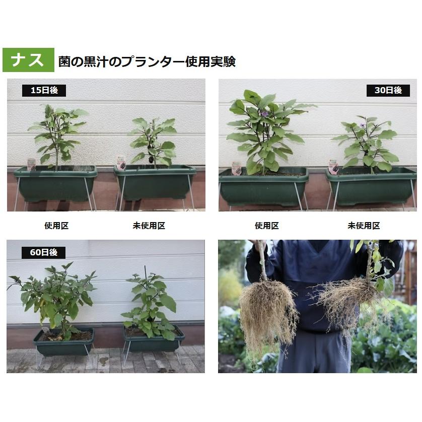 日本製 液肥 有機肥料 菌の黒汁 500ml 液体肥料 野菜 土壌改良剤 連作