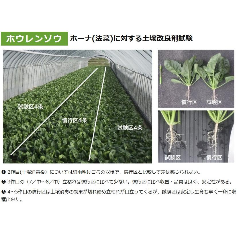 日本製 土壌改良剤 連作障害ブロックWGT 18kg 土壌改良材 菌の黒汁