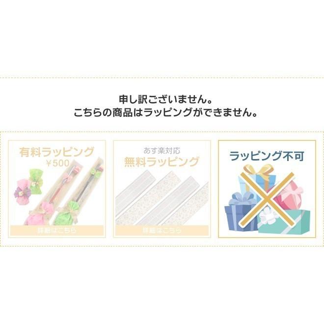 SWIX（スウィックス） トコ(TOKO) スキー スノーボード チューンナップ