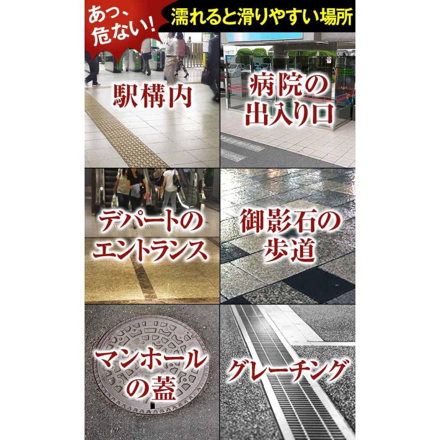 SINANO シナノ  もっと安心2本杖 ２本組 もっとあんしん2本杖 ノルディック ウォーク ポールウォーキング　レビータ【 100周年 特別カラー追加！】_1