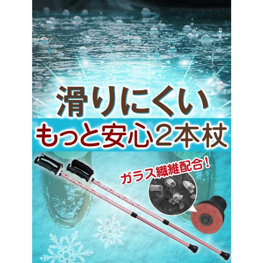 SINANO シナノ  もっと安心2本杖 ２本組 もっとあんしん2本杖 ノルディック ウォーク ポールウォーキング　レビータ【 100周年 特別カラー追加！】_2