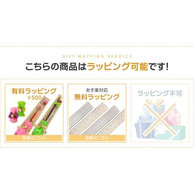 グランドゴルフ クラブ ニチヨー NICHIYO 入門用4点セット グランドゴルフ クラブ ニチヨー NICHIYO 入門用4点セット