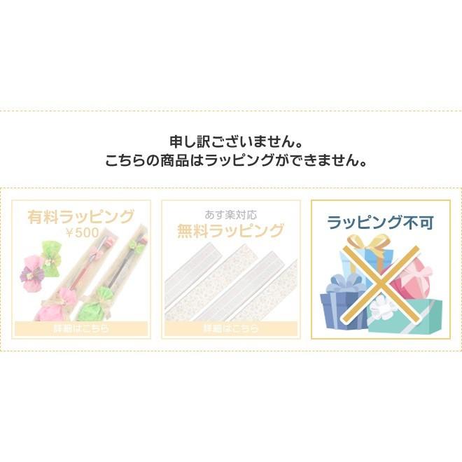 グランドゴルフ クラブ ニチヨー NICHIYO クラブ普及セット 6本セット