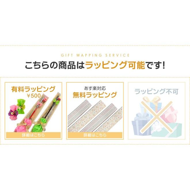 グランドゴルフ 用品 ニチヨー NICHIYO ホールインワン自宅練習セット 限定品  グラウンドゴルフ 用品｜sso-jpstore｜02