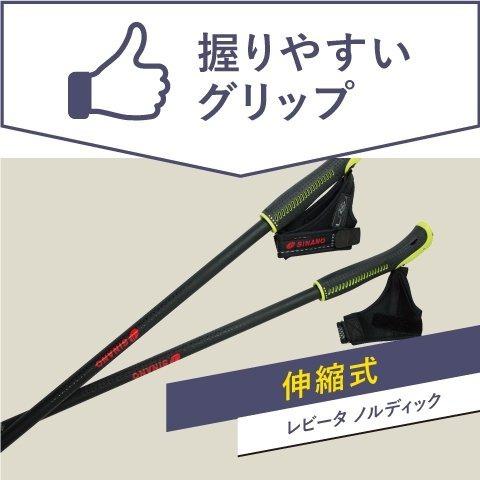 SINANO シナノ ノルディックウォーキング レビータ ノルディック