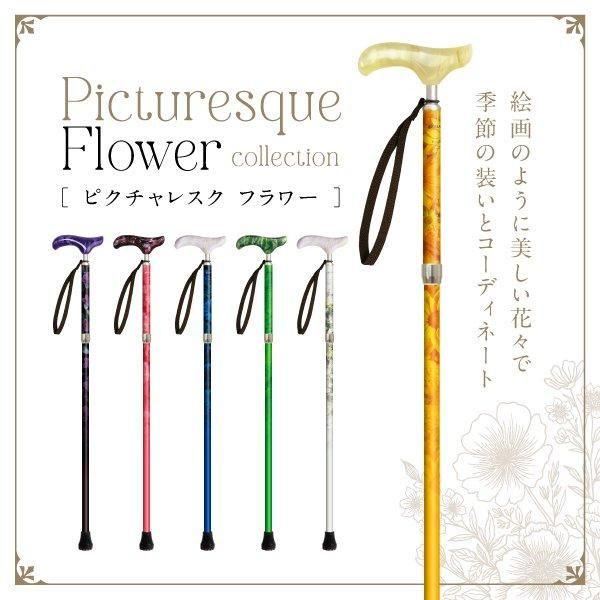 SINANO シナノ ピクチャレスク フラワー 杖 ステッキ メンズ用