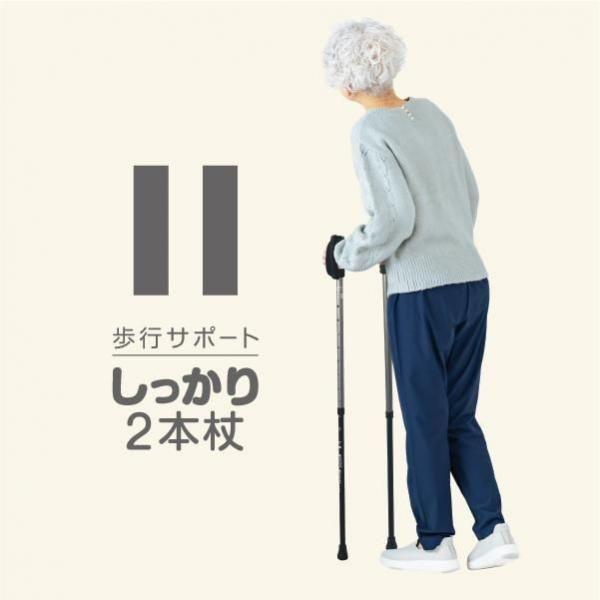 SINANO（シナノ） しっかり2本杖 杖 ウォーキングポール メンズ用