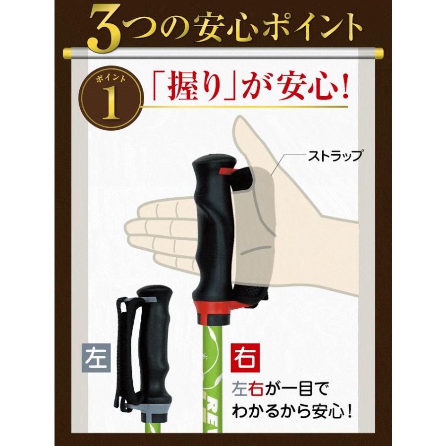 SINANO シナノ あんしん2本杖 2本組 ノルディック ウォーク ポール