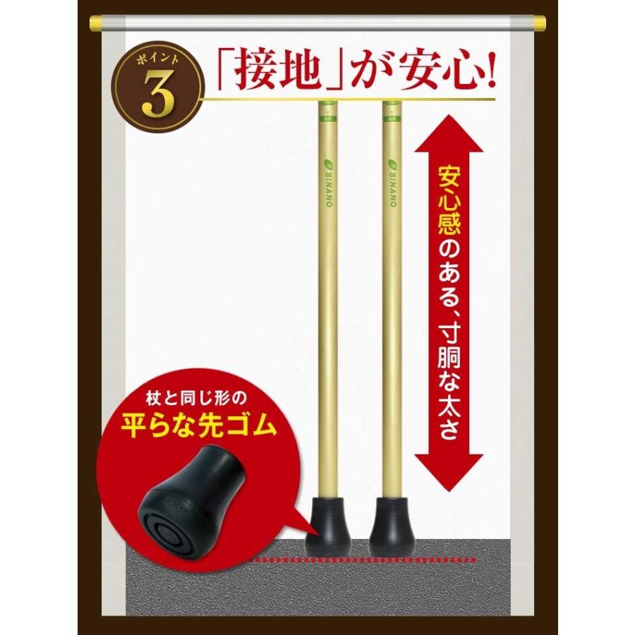 SINANO シナノ あんしん2本杖 2本組 ノルディック ウォーク ポール