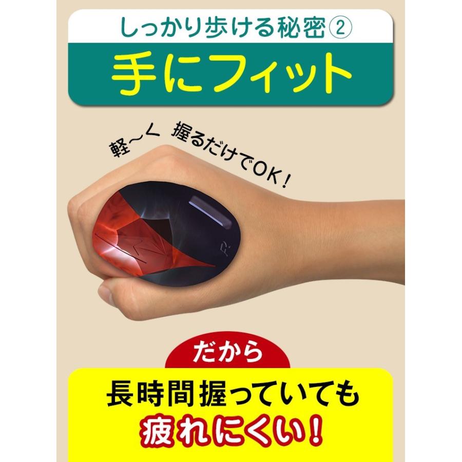 SINANO シナノ レビータ ネクスト 2本組 ノルディック ウォーク