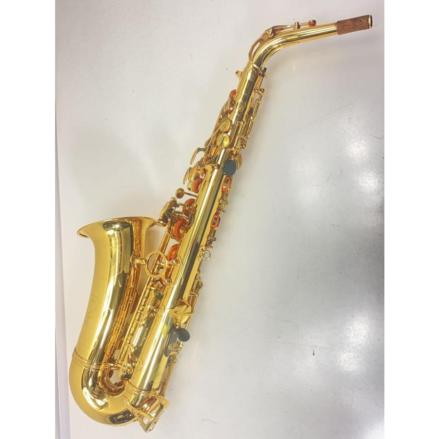 YANAGISAWA◆【動作確認済】A-901/アルトサックス/YANAGISAWA/ヤナギサワ/ラッカー/管楽器//の画像