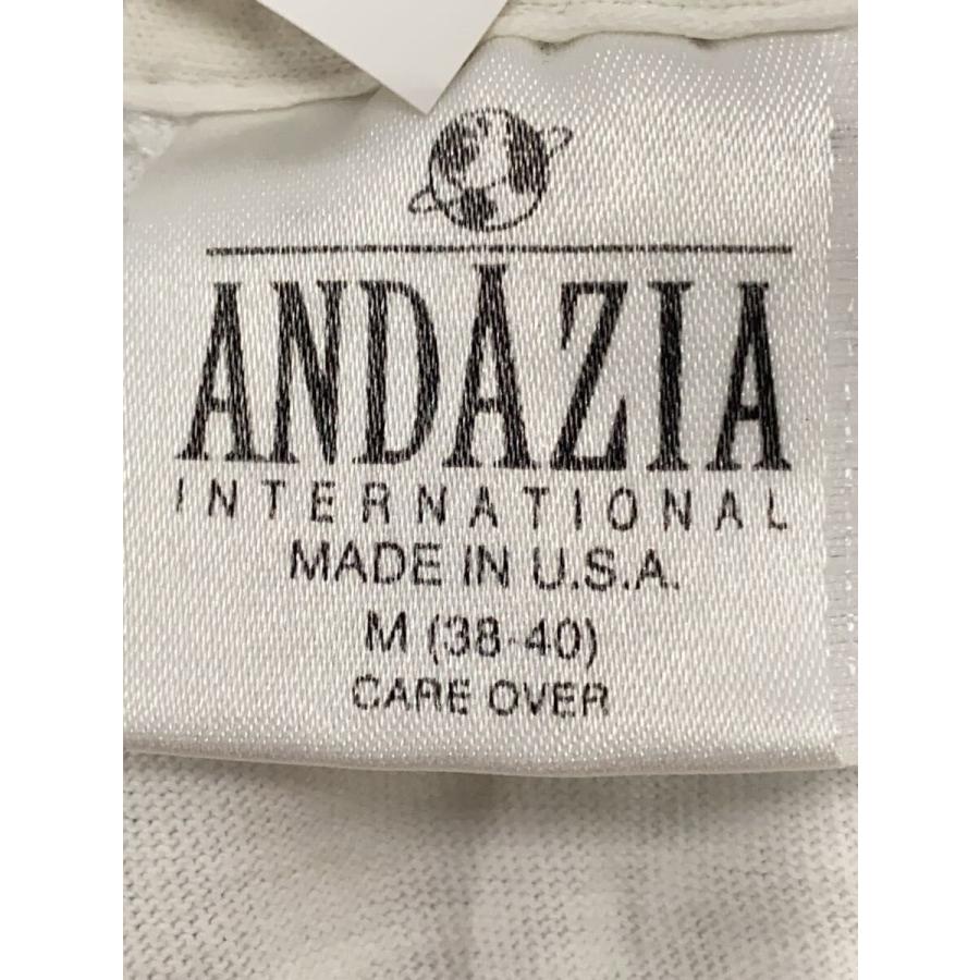 ANDAZIA◇アインシュタイン/Tシャツ/M/コットン/WHT/USA製/状態考慮