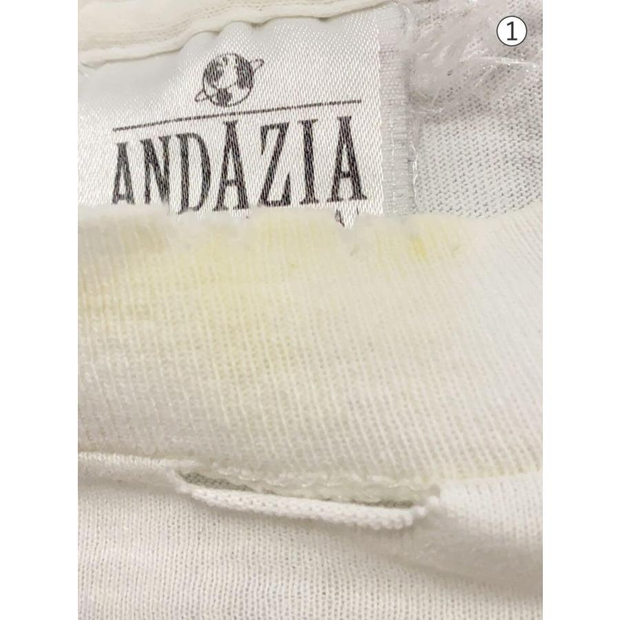 ANDAZIA◇アインシュタイン/Tシャツ/M/コットン/WHT/USA製/状態考慮