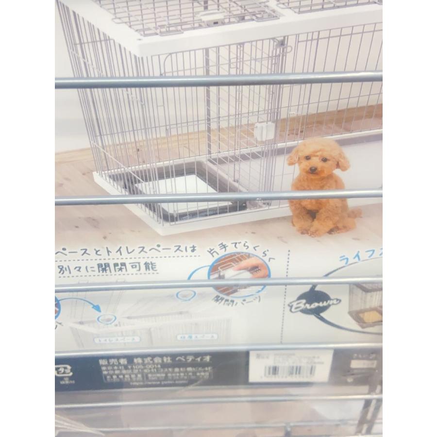 petio/専用屋根面 ペティオ トイレのしつけが出来る ドッグルーム 