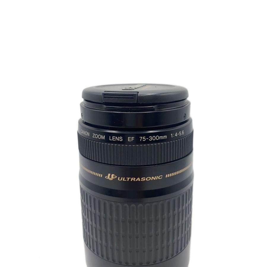 CANON◇レンズ EF75-300mm F4-5.6 III USM 【公式通販】