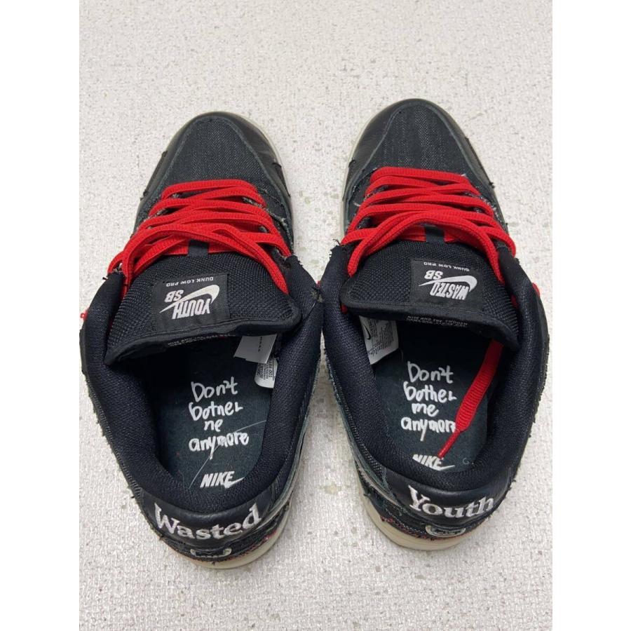 NIKE◇WASTED YOUTH X DUNK LOW PRO_ウェイステッド ユース ダンク