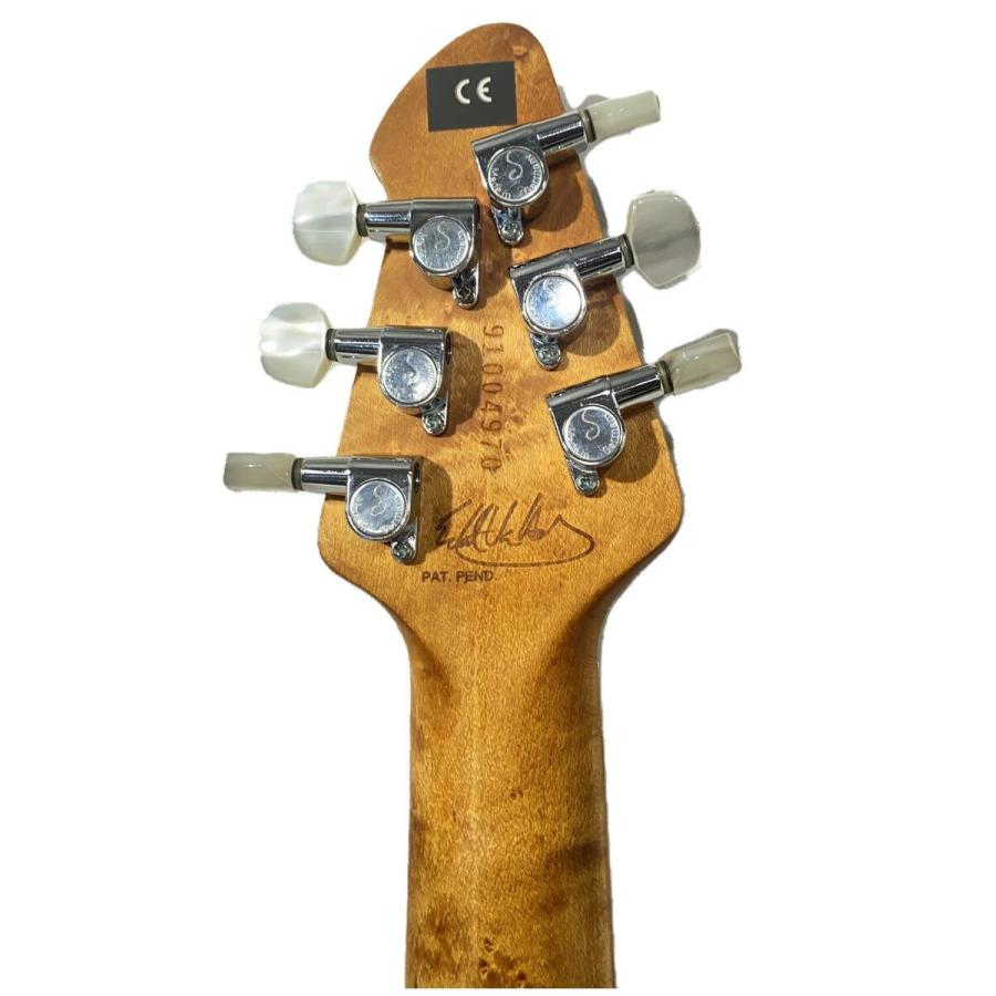 PEAVEY◇EVH Wolfgang Standaed/ハードケース/Gold/バーズアイ