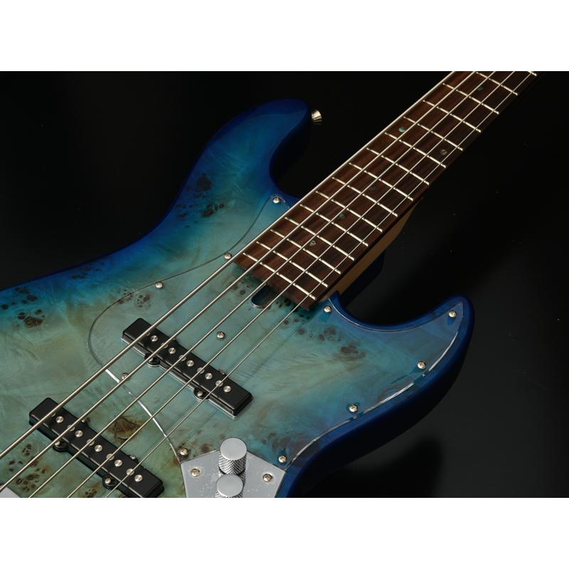 最終値下げ Bacchus Universe Series アクティブベース