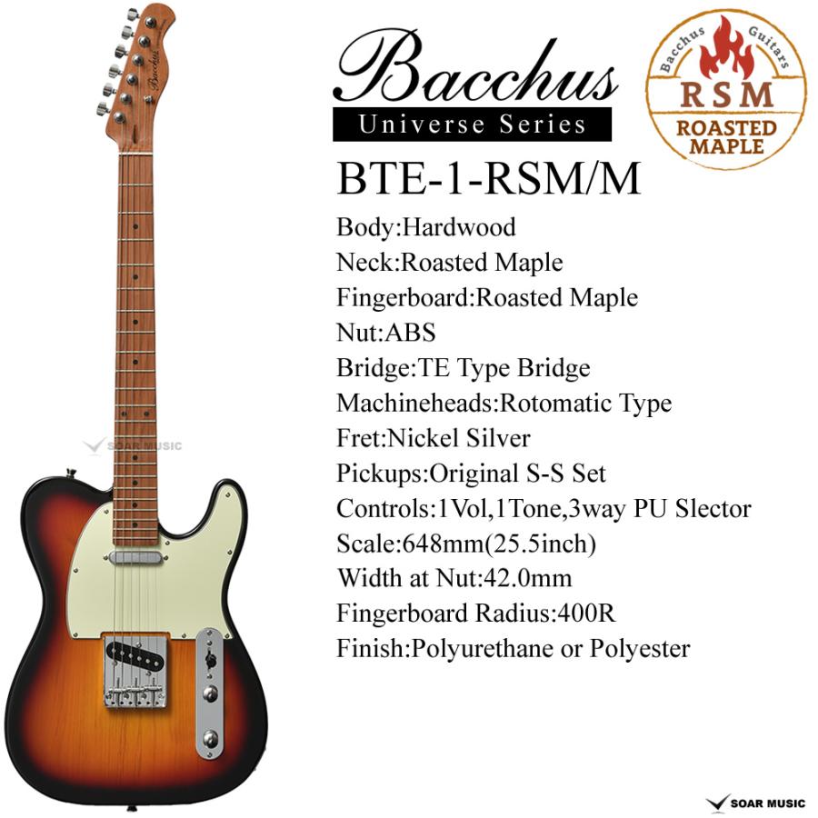 Bacchus テレキャスター BTE-1R オマケ付き Bacchus BTE-1-RSM/M BBD エレキギター初心者14点セット【VOXアンプ