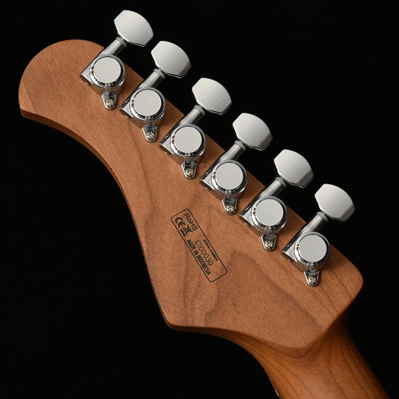 Bacchus（バッカス） Bacchus TACTICS24-SPM RSM/M JTシリーズ エレキ