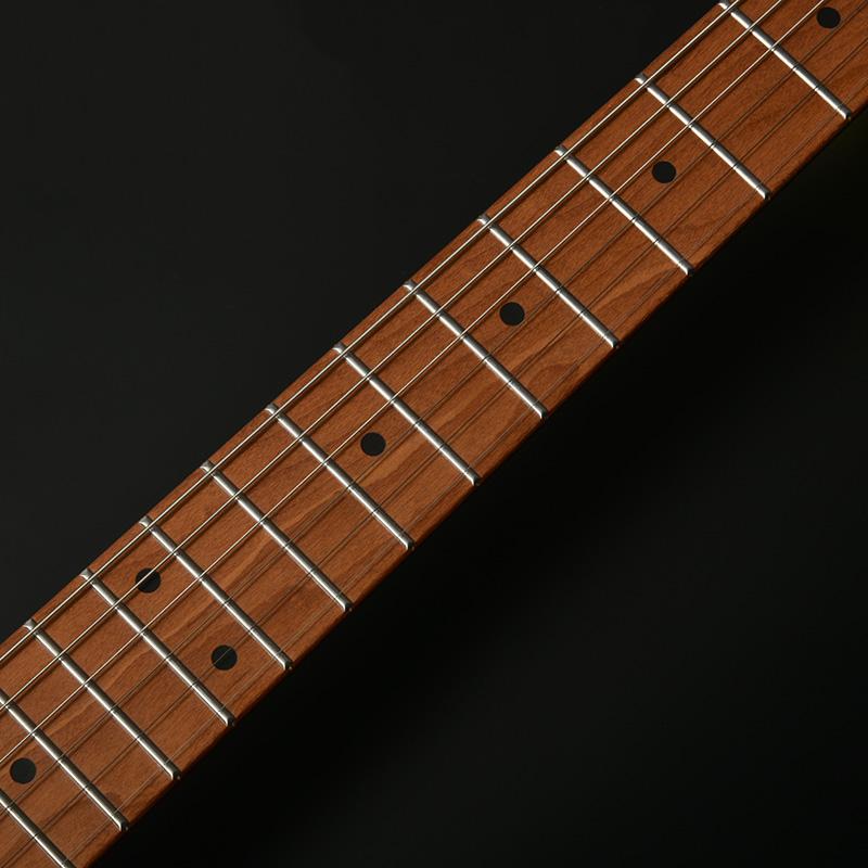 Bacchus BMS-1-RSM/M-TTPG べっ甲柄ピックガード 搭載 ムスタング