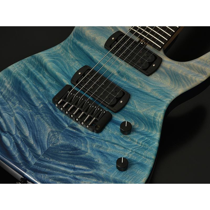 Bacchus（バッカス） T7-Custom/SE '19W FT ブルーグラデーション 7弦