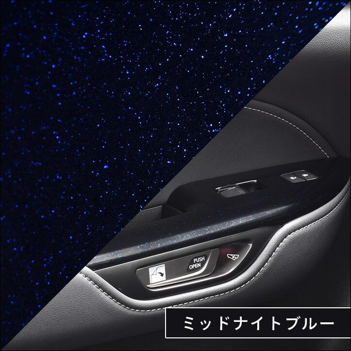 セカンドステージ レクサス NX20系 LEXUS PWSW(ドアスイッチ)パネル