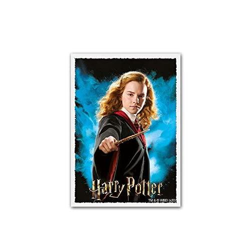 Standard Art Sleeves ー Wizarding World ー Hermione Granger (100)｜st-3｜03