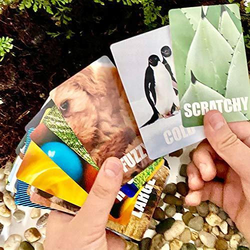 Hapinest Find and Seek Scavenger Hunt Outdoor Indoor Card Game for Kids｜st-3｜04