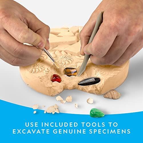 NATIONAL GEOGRAPHIC Mega Fossil and Gemstone Dig Kit ー Excavate 20 Real Fos｜st-3｜03