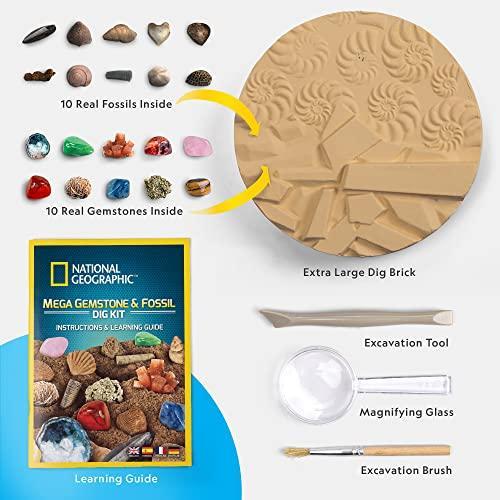 NATIONAL GEOGRAPHIC Mega Fossil and Gemstone Dig Kit ー Excavate 20 Real Fos｜st-3｜06