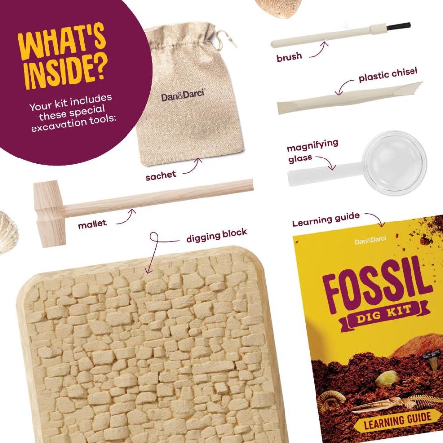 Real Fossil Dig Kit for Kids ー Mega Science Kits for Boys & Girls Age 8ー12｜st-3｜05