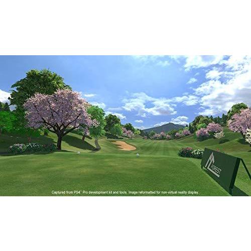 Everybody's Golf VR (輸入版:北米) ー PS4｜st-3｜02
