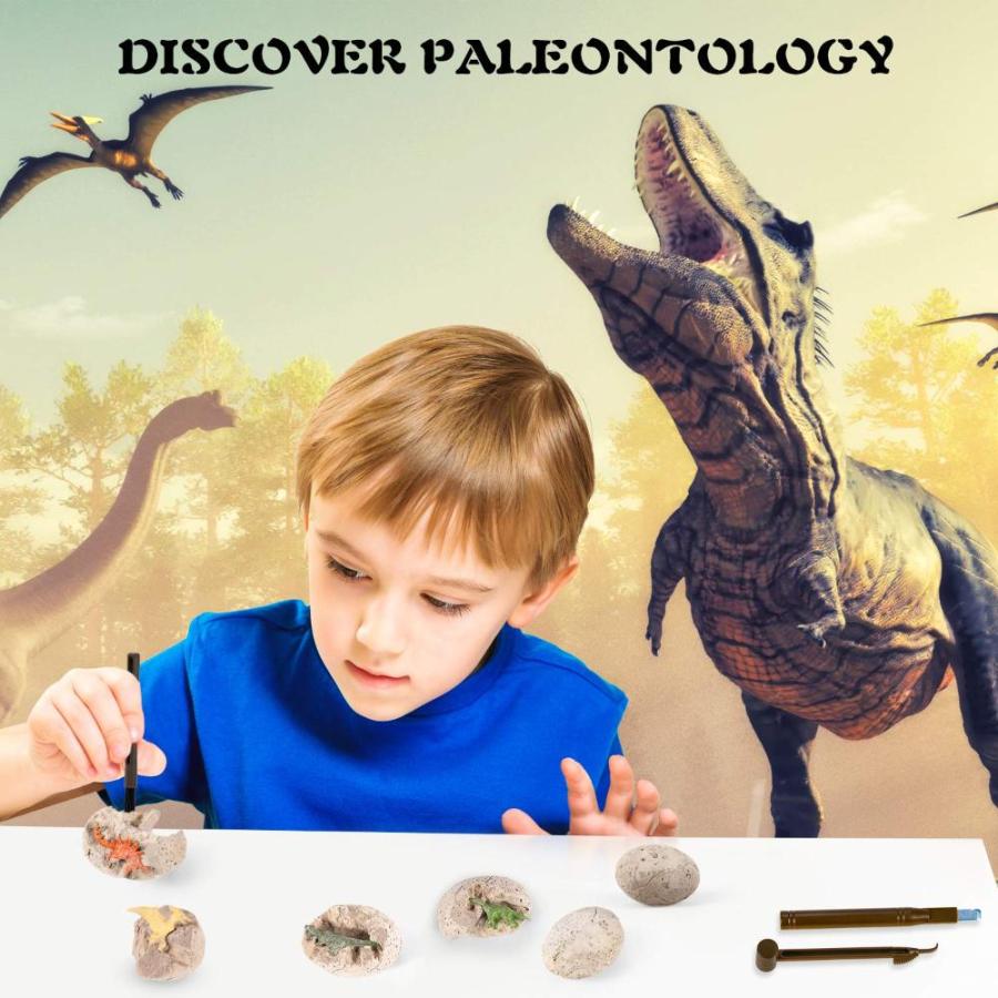 Dinosaur Fossil Digging Kit for Kids, Dinosaur Eggs Excavation Dig Kit, Din｜st-3｜03