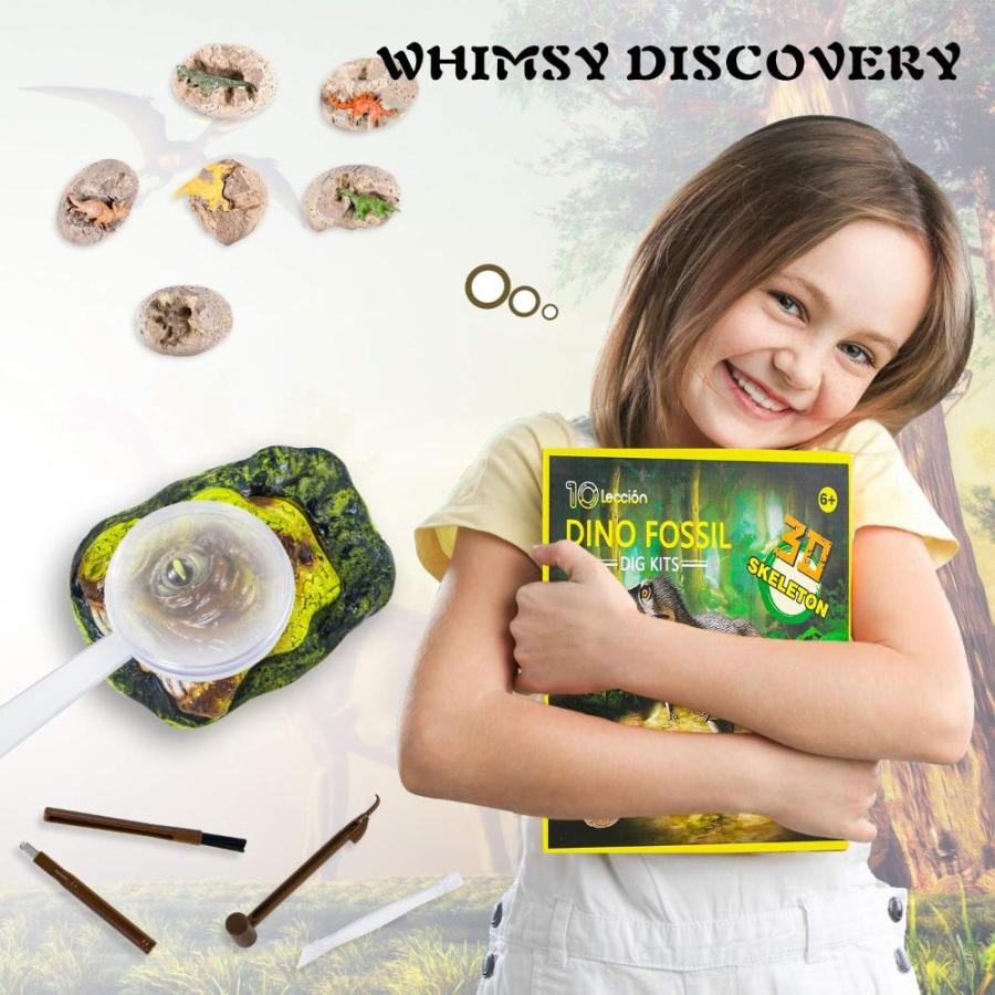 Dinosaur Fossil Digging Kit for Kids, Dinosaur Eggs Excavation Dig Kit, Din｜st-3｜06