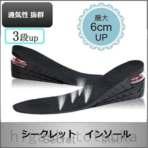 シークレット 爆安 インソール 靴 中敷き かかと 上げ底 メンズ ランニング靴 2 5cmヒール レディース Up1 5cm