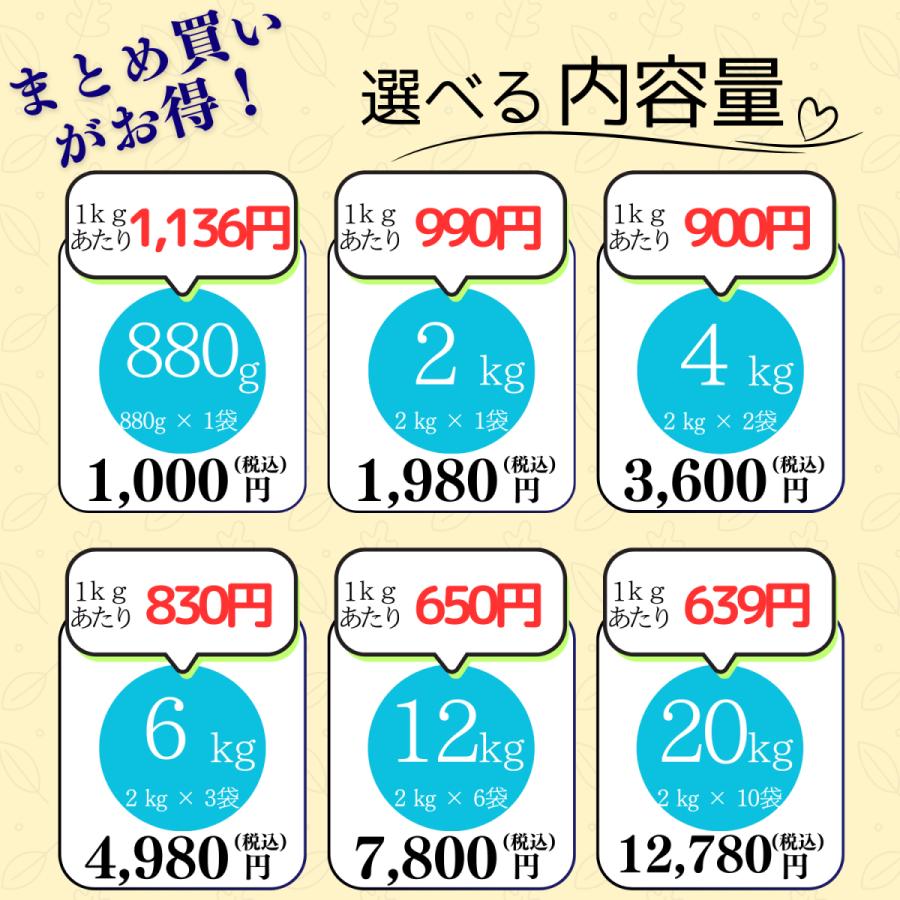 米粉 パン用 ミズホチカラ 2kg ×6袋 ミズホノチカラ 国産 製菓用