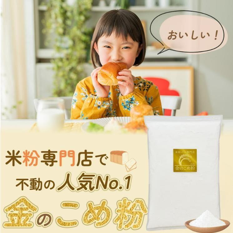 米粉 ミズホチカラ パン用 製菓用 グルテンフリー ミズホノチカラ 味