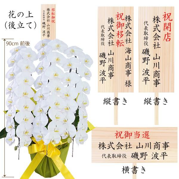 胡蝶蘭 お祝い 開店祝い ギフト 3本立ち 大輪 高級 産地直送 特aクラス 送料無料 木札無料 白 赤リップ ピンク 48輪以上 当選祝い 3f48 スタジオ蘭花 通販 Yahoo ショッピング