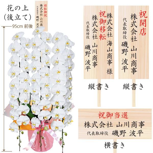 胡蝶蘭 開店祝い ギフト 大輪 3本立ち 高級 産地直送 特aクラス 送料無料 木札無料 白 赤リップ ピンク 60輪以上 紅白 当選祝い 3f60 スタジオ蘭花 通販 Yahoo ショッピング