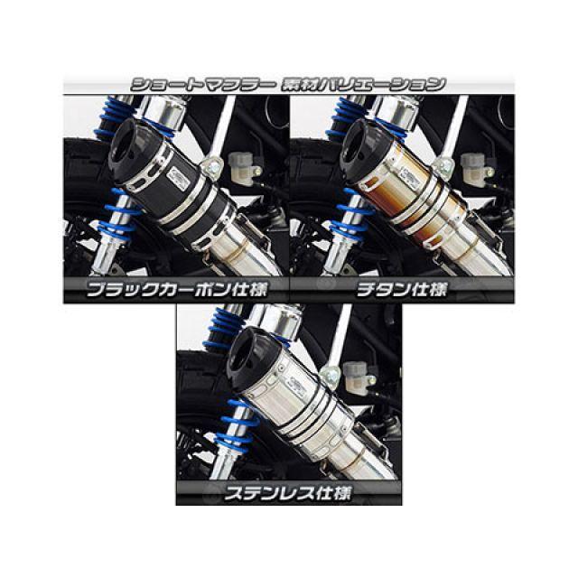 WirusWin - エテ公125 消音装置本体 エテ公125（8BJ-JB03）用 遊撃手消音装置 ビレットタイプ サイレンサー ブラックカーボ…