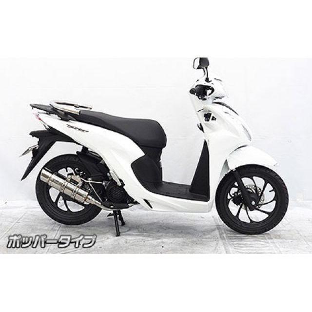 WirusWin（ウイルズウィン） ディオ110 マフラー本体 ディオ110（2BJ
